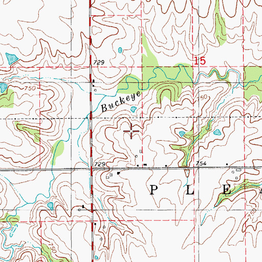 Topographic Map of Township of Pleasant, IA