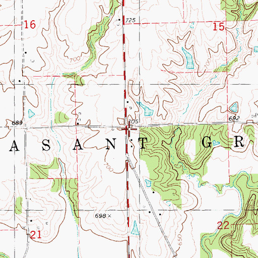 Topographic Map of Township of Pleasant Grove, IA