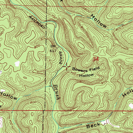 Topographic Map of Bowers Field Hollow, AR