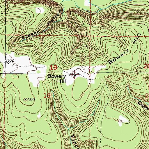 Topographic Map of Bowery Hill, AR