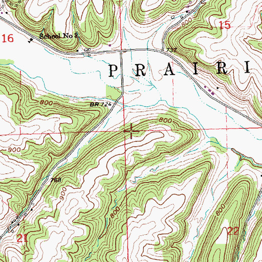 Topographic Map of Township of Prairie Springs, IA