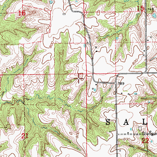 Topographic Map of Township of Salt Creek, IA