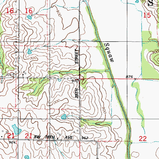 Topographic Map of Township of Squaw, IA
