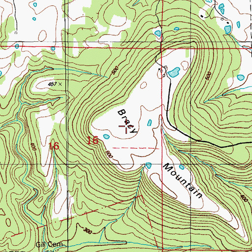 Topographic Map of Bracy Mountain, AR