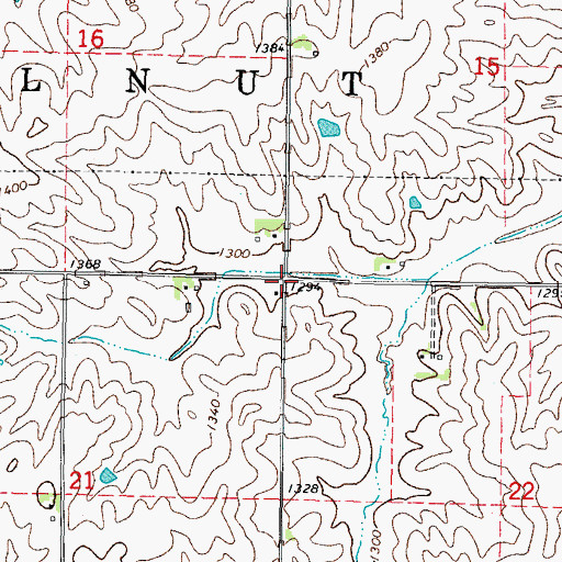 Topographic Map of Township of Walnut, IA