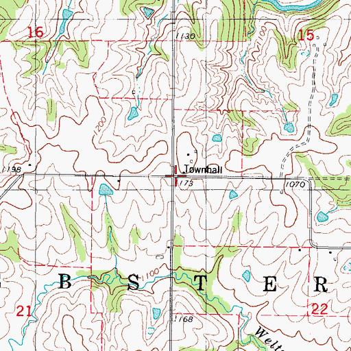 Topographic Map of Township of Webster, IA