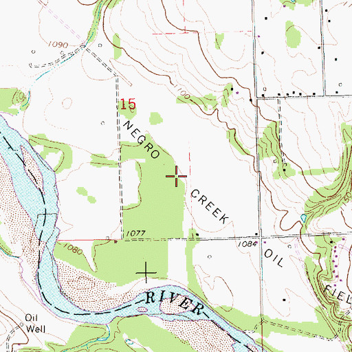 Topographic Map of Negro Creek Oil Field, KS