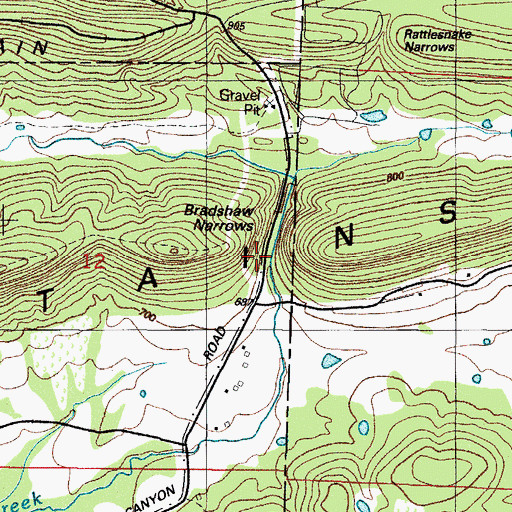 Topographic Map of Bradshaw Narrows, AR