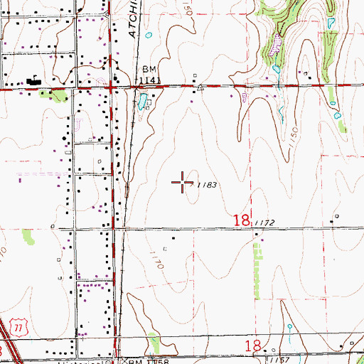 Topographic Map of Haines Landing Field (historical), KS