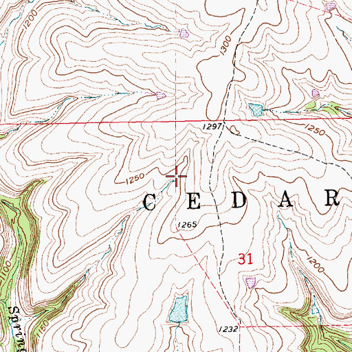 Topographic Map of Township of Cedar, KS
