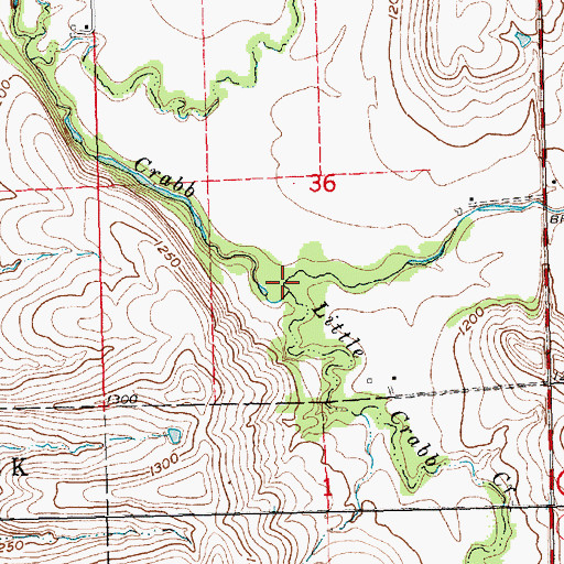 Topographic Map of Little Crabb Creek, KS
