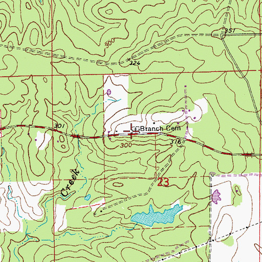 Topographic Map of Branch Cemetery, AR