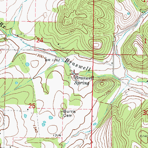 Topographic Map of Braswell Spring, AR