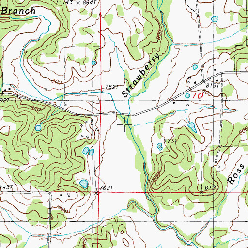 Topographic Map of Bray Branch, AR