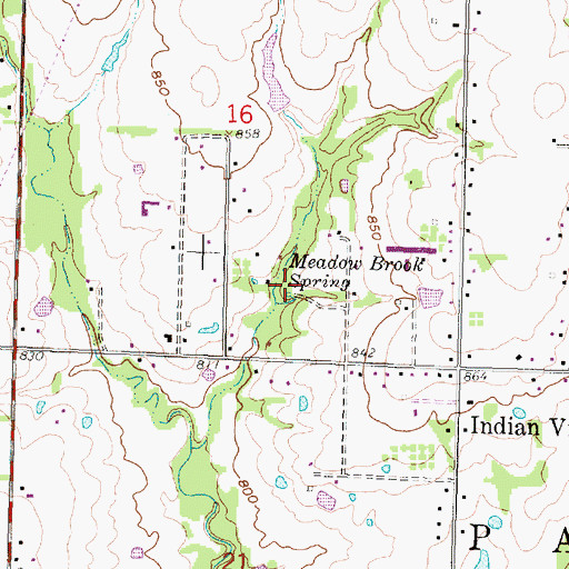 Topographic Map of Meadow Brook Spring, KS