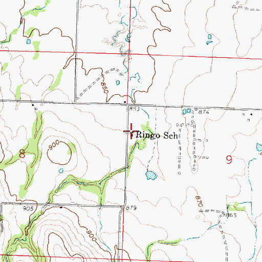 Topographic Map of Ringo School, KS