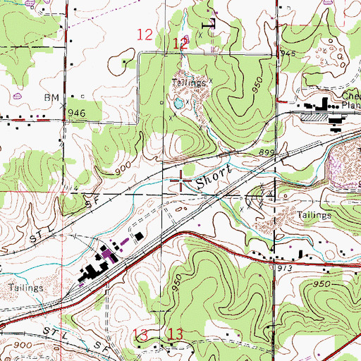 Topographic Map of Spring Branch, KS