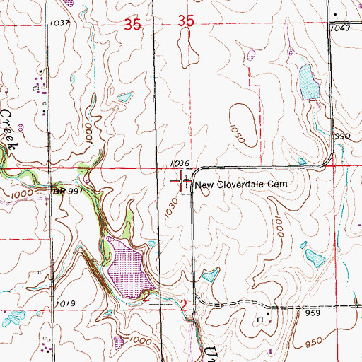 Topographic Map of Caneyville Cemetery, KS