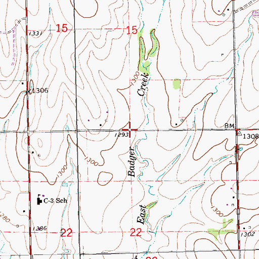 Topographic Map of Township of Tisdale, KS