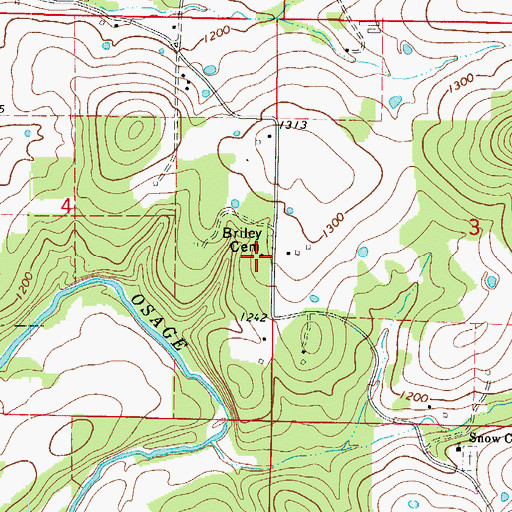 Topographic Map of Briley Cemetery, AR