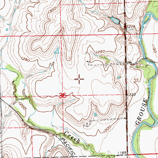 Topographic Map of Plum Creek, KS