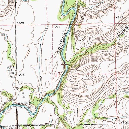 Topographic Map of Coon Creek, KS