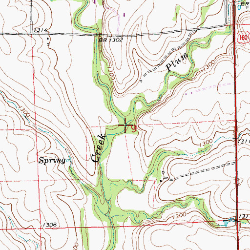 Topographic Map of Plum Creek, KS