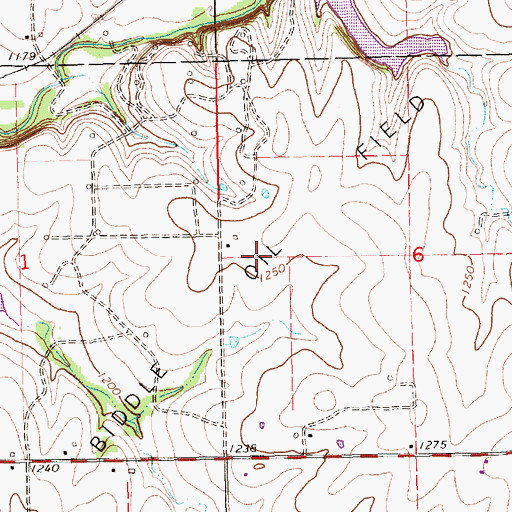 Topographic Map of Biddle Oil Field, KS