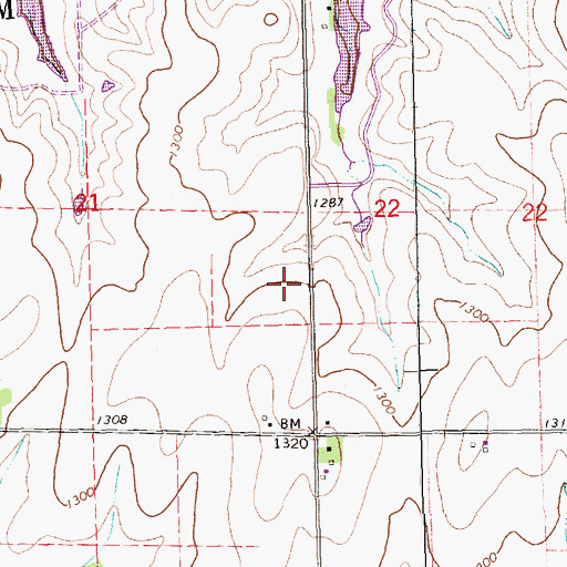 Topographic Map of Township of Salem, KS