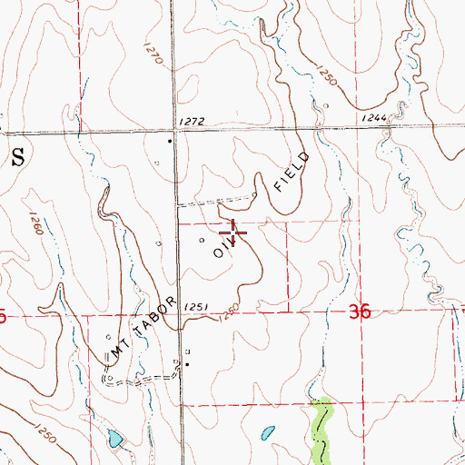 Topographic Map of Mount Tabor Oil Field, KS