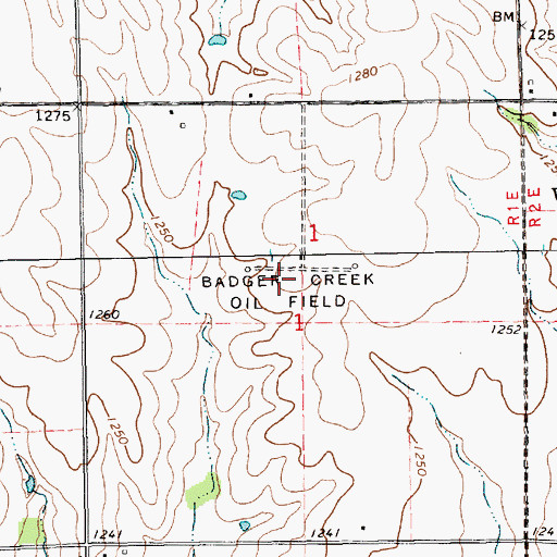 Topographic Map of Badger Creek Oil Field, KS