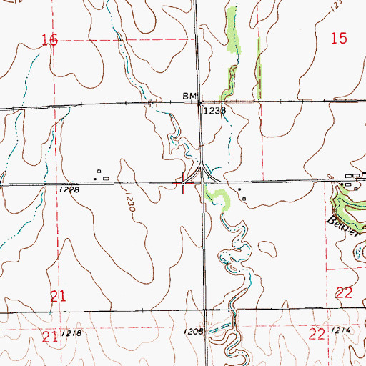 Topographic Map of Township of Ryan, KS