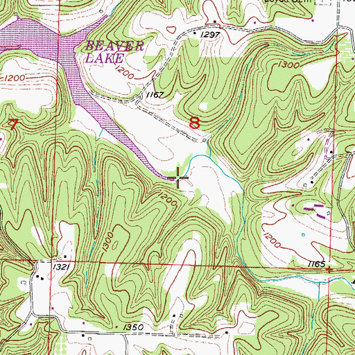 Topographic Map of Brush Creek, AR