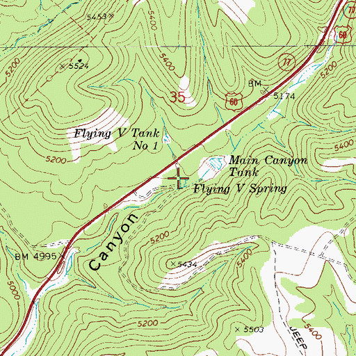 Topographic Map of Flying V Spring, AZ