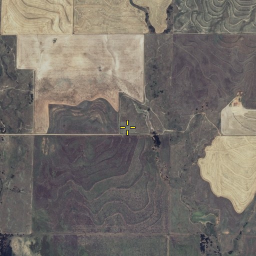 Aerial/Satellite Image of Lexington Cemetery, KS