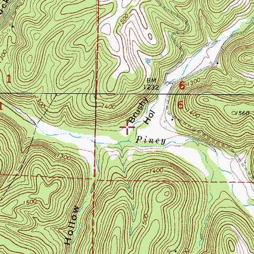 Topographic Map of Brushy Hollow, AR