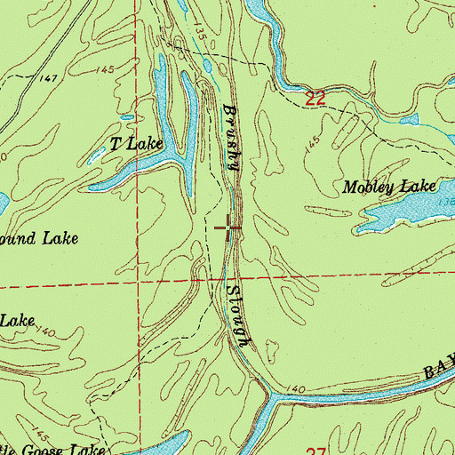 Topographic Map of Brushy Slough, AR