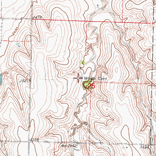 Topographic Map of White Cemetery, KS