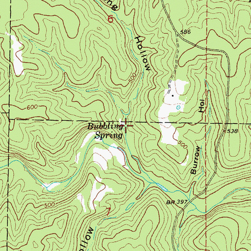 Topographic Map of Bubbling Spring, AR