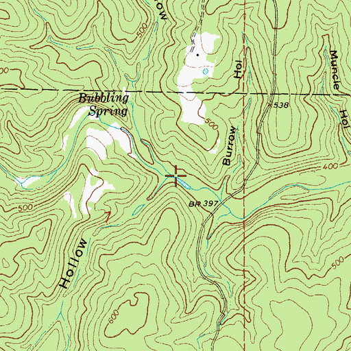 Topographic Map of Bubbling Spring Hollow, AR
