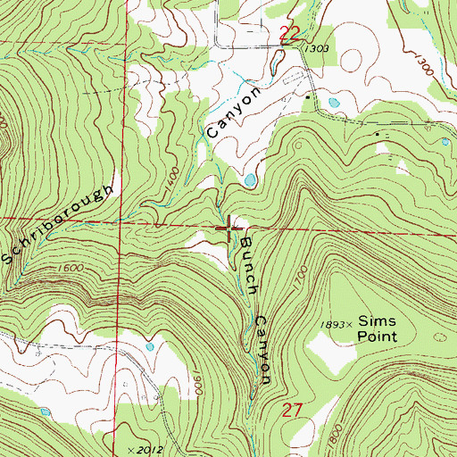 Topographic Map of Bunch Canyon, AR