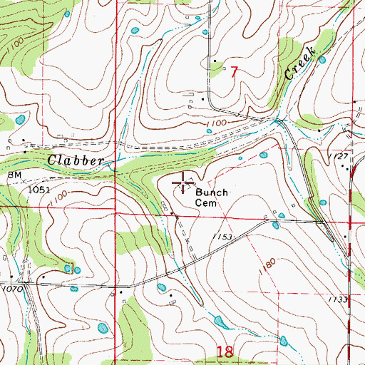 Topographic Map of Bunch Cemetery, AR