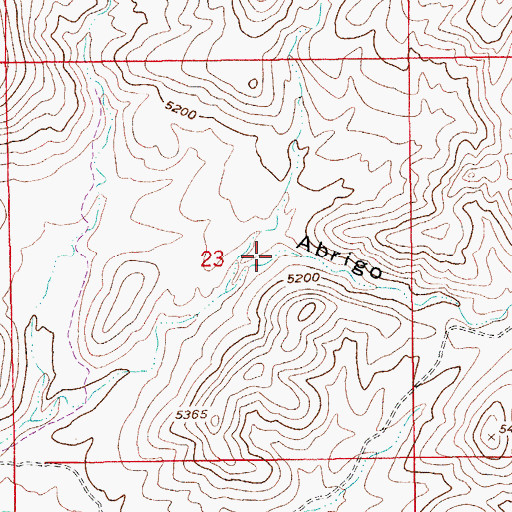 Topographic Map of Abrigo Canyon, AZ