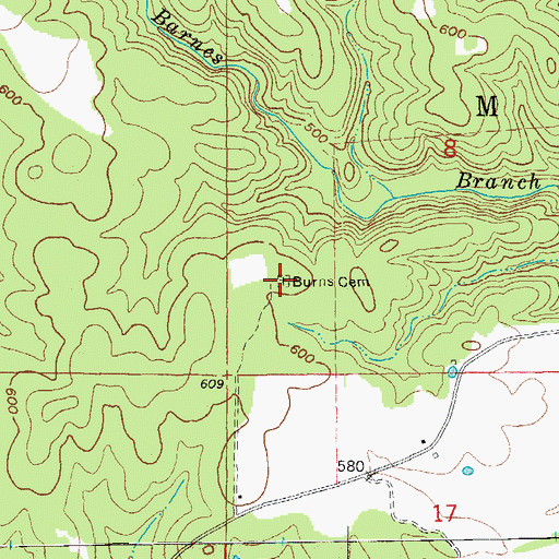 Topographic Map of Burns Cemetery, AR