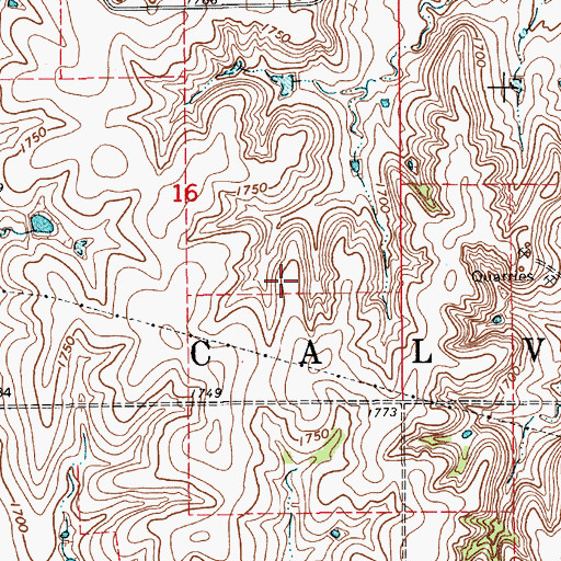 Topographic Map of Township of Calvin, KS