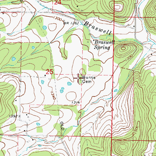 Topographic Map of Burris Cemetery, AR