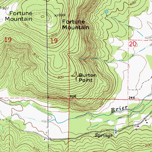 Topographic Map of Burton Point, AR