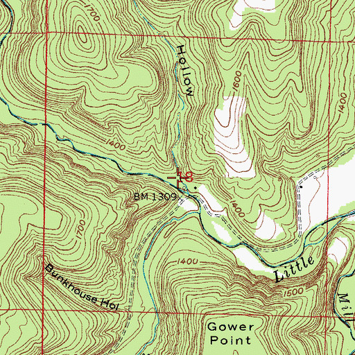 Topographic Map of Butler Hollow, AR