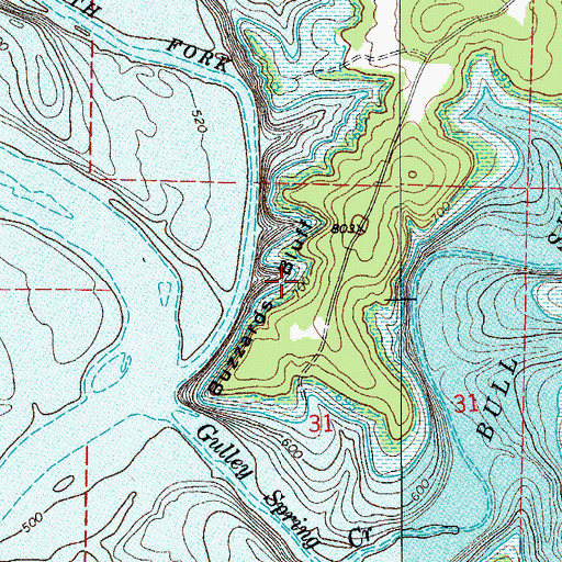 Topographic Map of Buzzard Bluff, AR