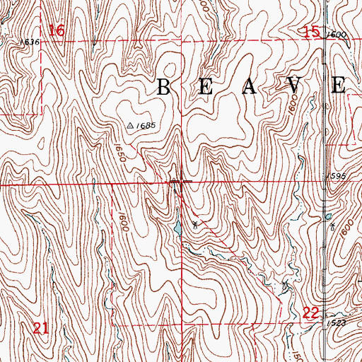 Topographic Map of Township of Beaver, KS